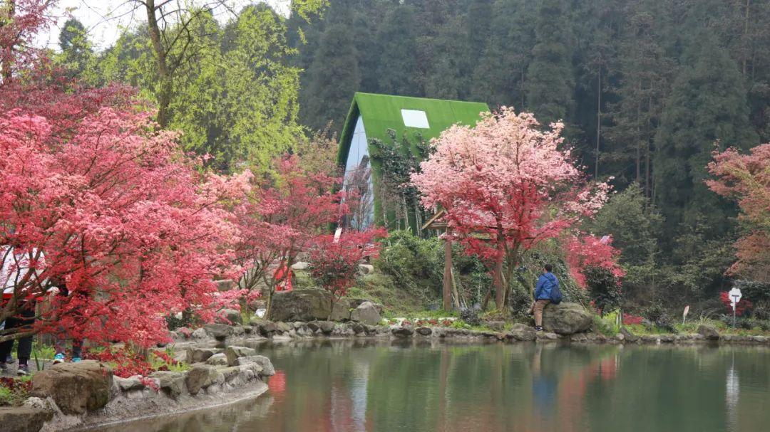 秦始皇是不是暴君?从湖北出土的1155枚秦简,能否找到答案?